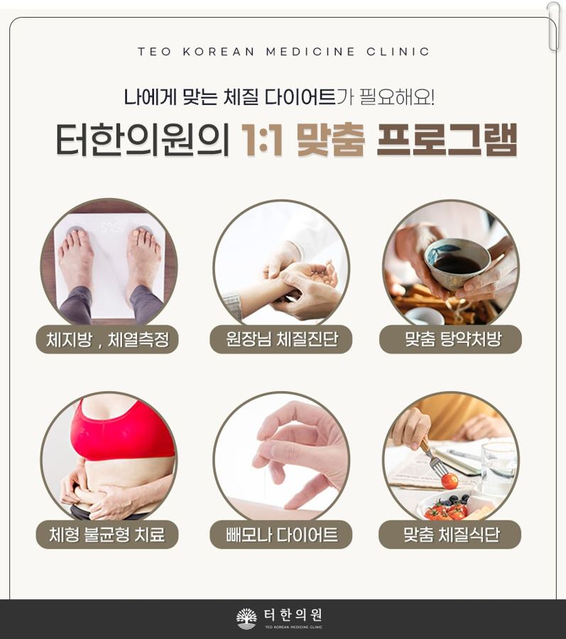 맞춤 다이어트 프로그램을 설명한 인포그래픽