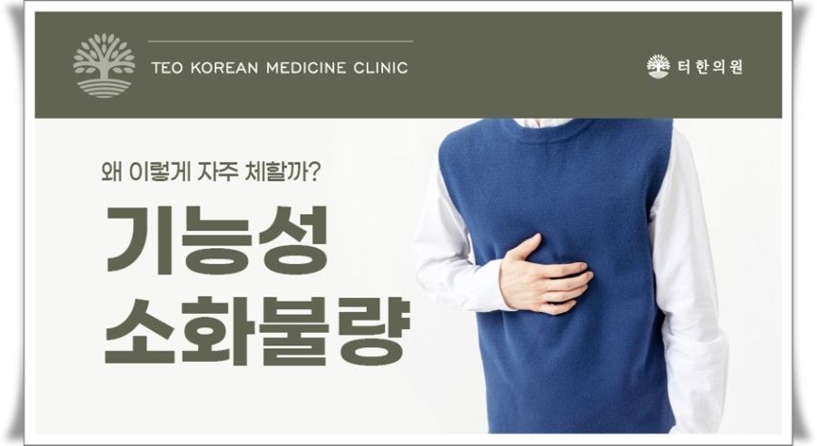 기능성 소화불량을 설명한 안내문