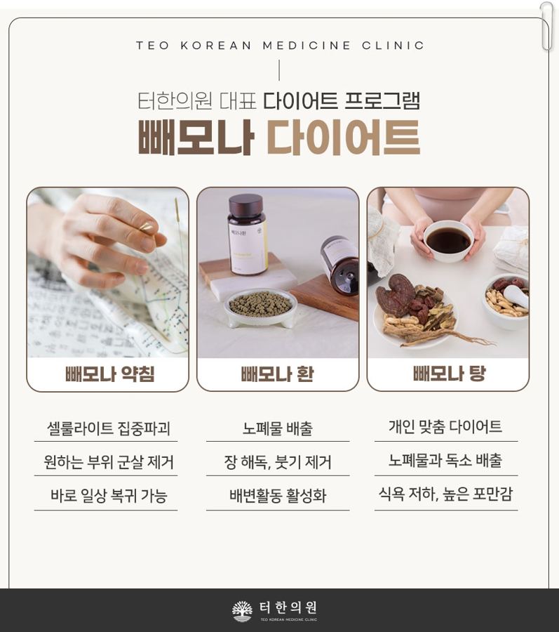 다이어트 한약과 탕약 구성을 소개한 안내문