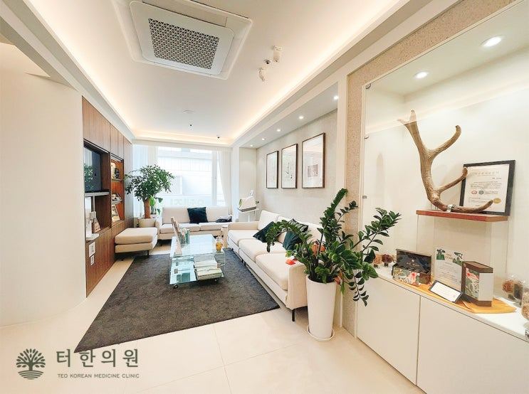 소파와 화분 및 전시장이 있는 병원 대기실 사진