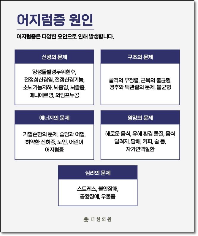 어지럼증 원인을 신경과 구조, 에너지, 영양 및 심리 문제로 정리한 이미지