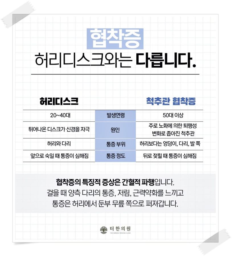 허리디스크와 척추관협착증의 연령, 원인, 통증 부위를 비교한 안내 이미지