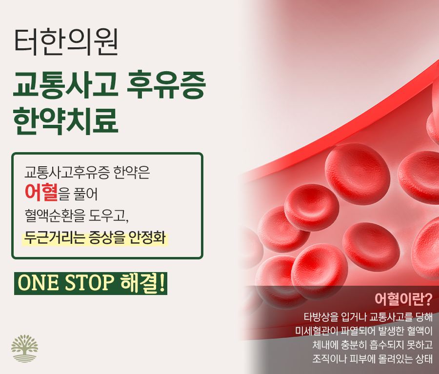 혈관 속 적혈구 그림과 교통사고 후유증 어혈 한약치료를 설명한 이미지