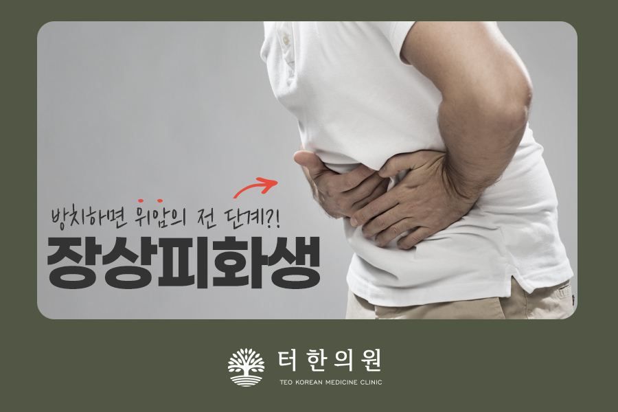 복부를 감싸 쥔 상반신 모델과 장상피화생을 설명한 이미지